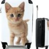 MuchoWow® Koffer - Kat - Rood - Kitten - Meisjes - Kinderen - Jongens - Kindje - Past Binnen 55x40x20 Cm En 55x35x25 Cm - Handbagage - Trolley - Fotokoffer - Cabin Size - Print -Reisbagage Winkel 1145x1200 1