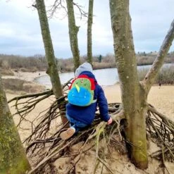 Dinosaurus Backpack - Rex - Peuter Rugtas – Rugzak Schooltas Voor Peuters/Kleuters – Jongens En Meisjes | Kinderrugzak | Kinder Rugzak | Dieren | Schooltas | Peuterspeelzaal | Opvang | 6 Liter | Klein Peuter Rugzak | Rugtas | Dino | T-Rex -Reisbagage Winkel 1200x1200 2109