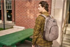 Dakine Dames Laptop Rugzak / Rugtas / Laptoptas / Werktas - Campus - Multicolor - 15 Inch -Reisbagage Winkel 1200x803 2