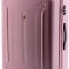Gladiator Beetle L Spinner 78 - TSA Slot - Roze -Reisbagage Winkel 629x1200