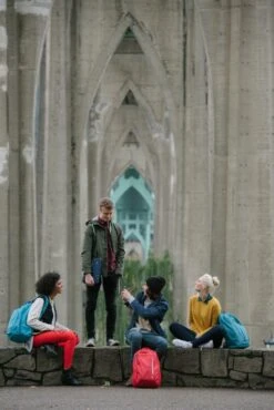 Case Logic® Case Logic Jaunt - Laptop Rugzak 15.6 Inch - Blauw -Reisbagage Winkel 801x1200 16