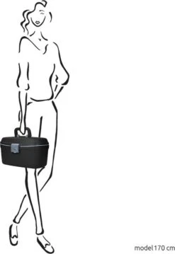 Roncato Reisaccessoires Light -Reisbagage Winkel 826x1200 19